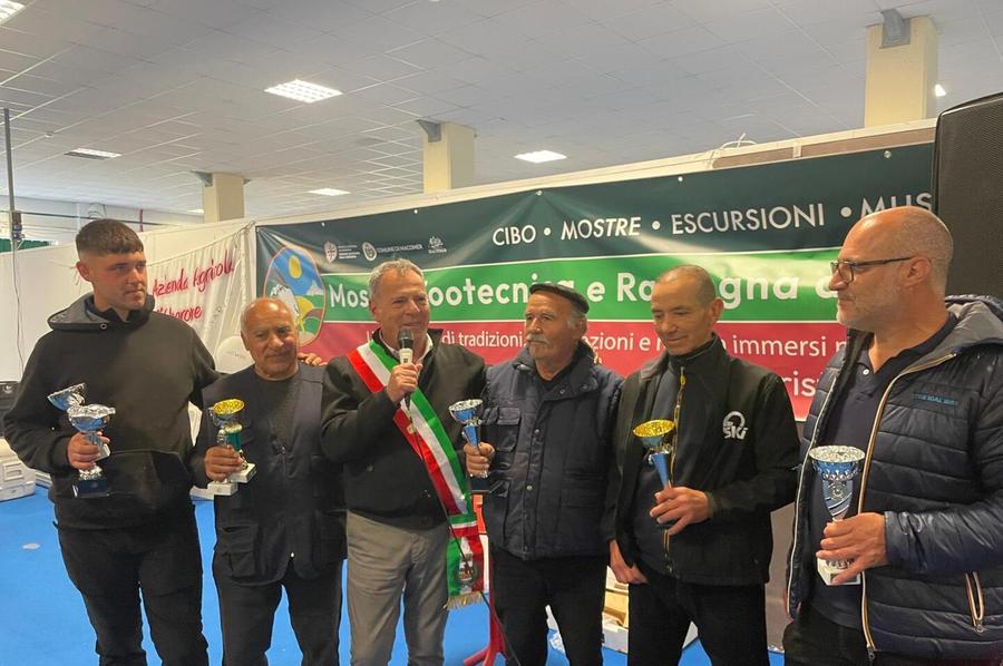 Affari d’oro alla mostra del bestiame