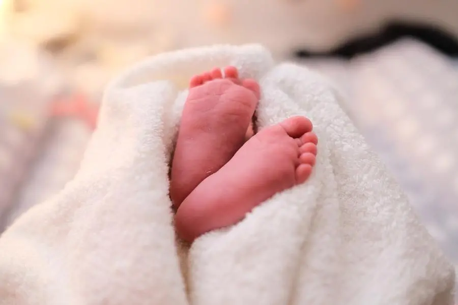 Immagine simbolo (Unsplash)