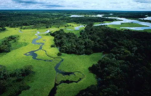 La foresta amazzonica