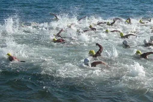 Una gara di nuoto in acque libere (foto da Nuotatori Sardi)