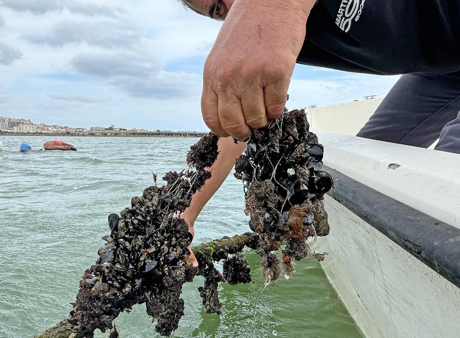 Ciclone Harry, due milioni per la laguna