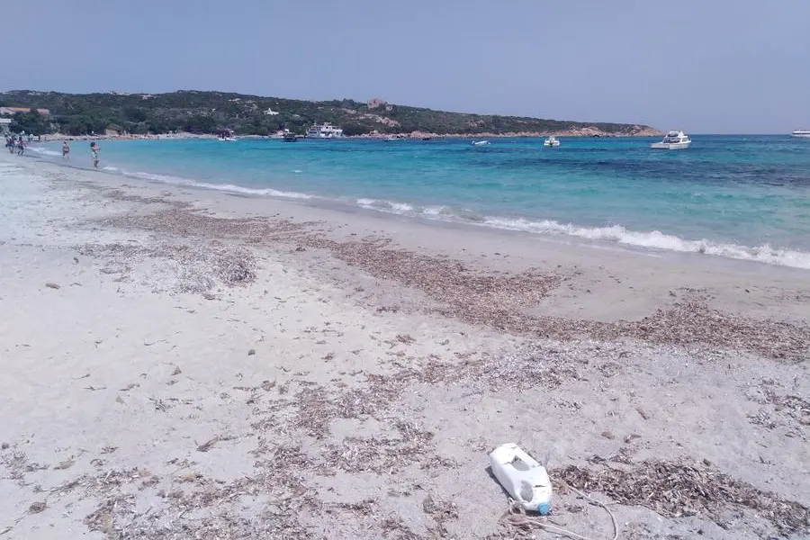 Plastica sulla spiaggia (foto inviata dal nostro lettore)