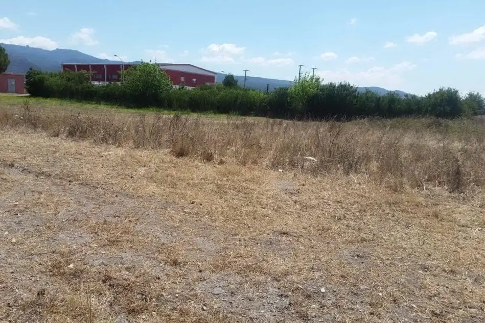 Il campo dove è stata fatta la macabra scoperta (L'Unione Sarda - Pintori)