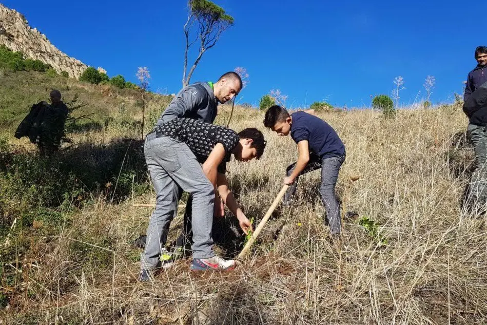 Studenti impegnati nella piantumazione degli alberi a Villacidro