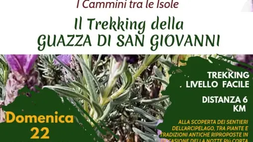 https://immagini.unionesarda.it/version/c:ZDJlM2Y3ZGEtOWJjYS00:OWE1MzExNzktYTkxZi00/image.webp?f=16:9