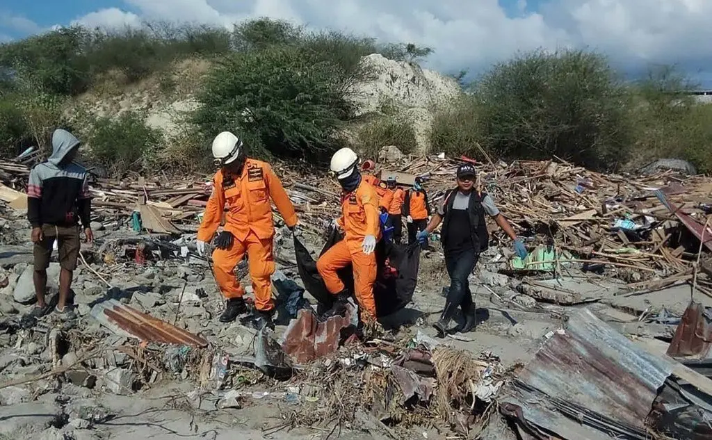 Terremoto e tsunami: apocalisse in Indonesia (Ansa)