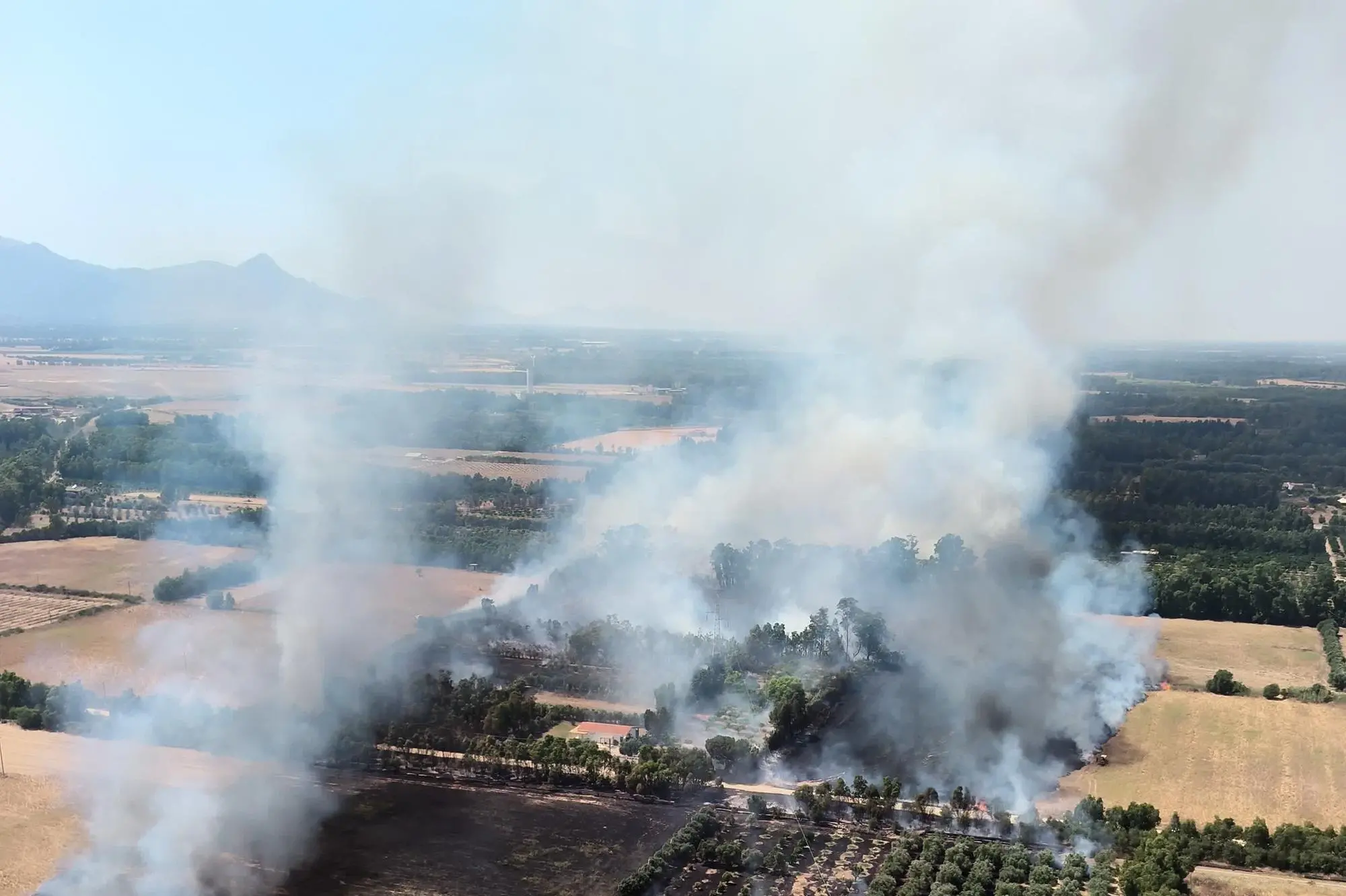 Uno degli incendi del 14 giugno in Sardegna (foto Corpo forestale)