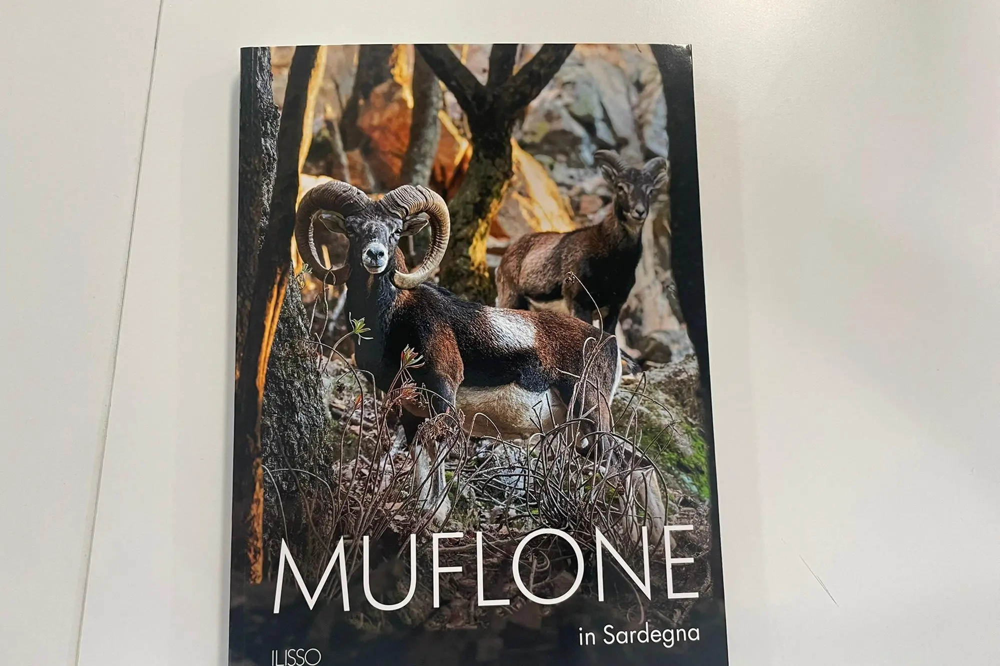 Il volume in edicola con L'Unione Sarda