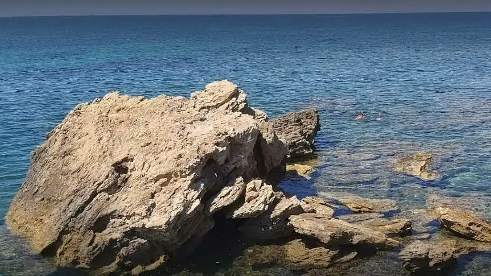 Delfino trovato morto sulla spiaggia di Cabras - L'Unione Sarda.it