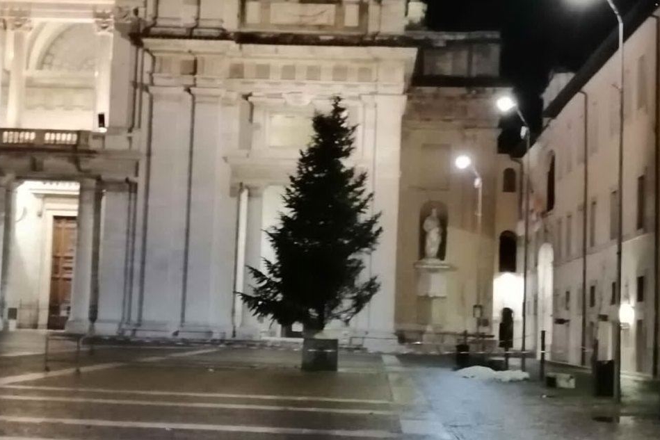 L'albero di Natale ad Assisi