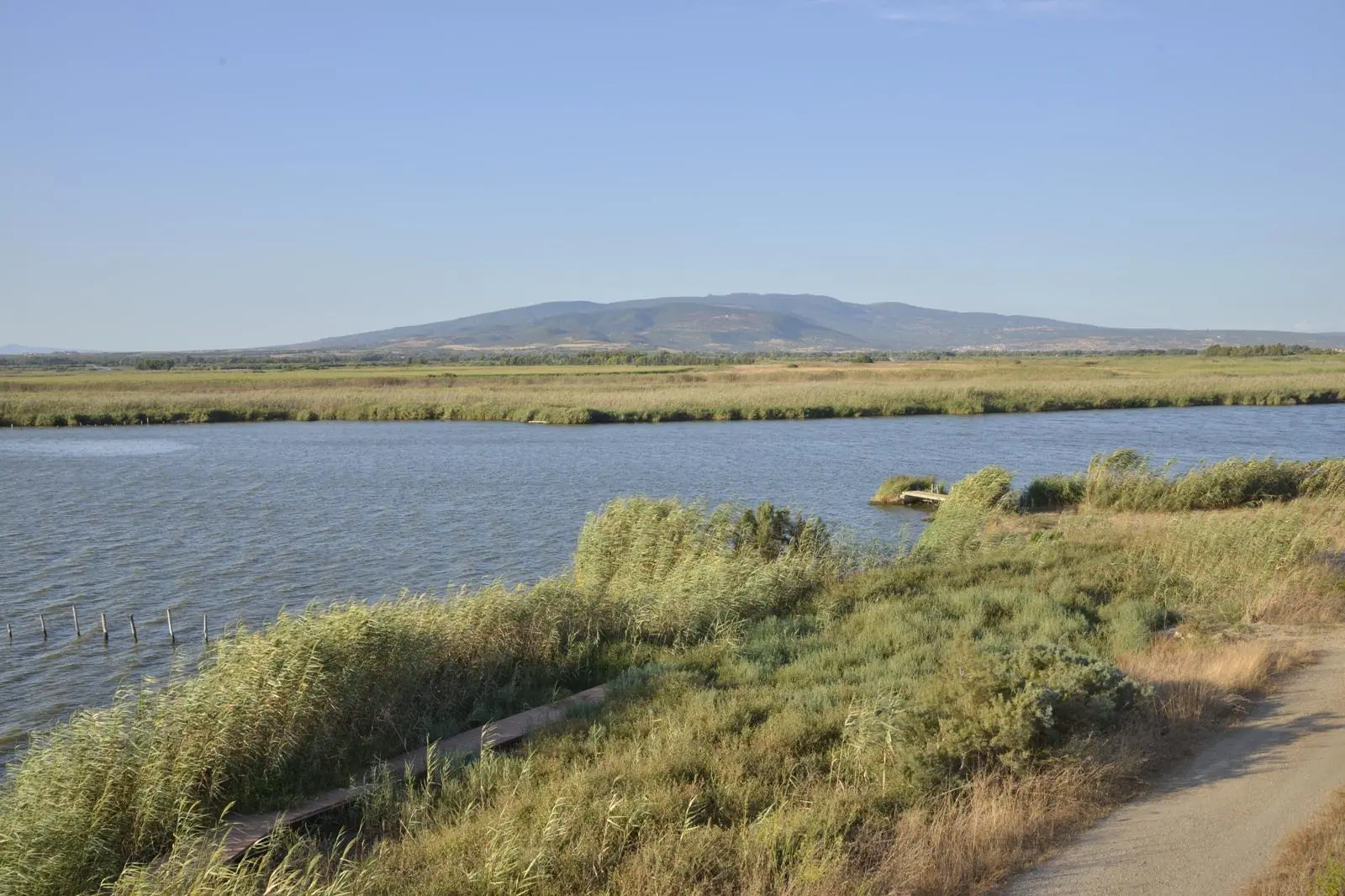 Una delle zone umide dell'Oristanese (foto concessa)