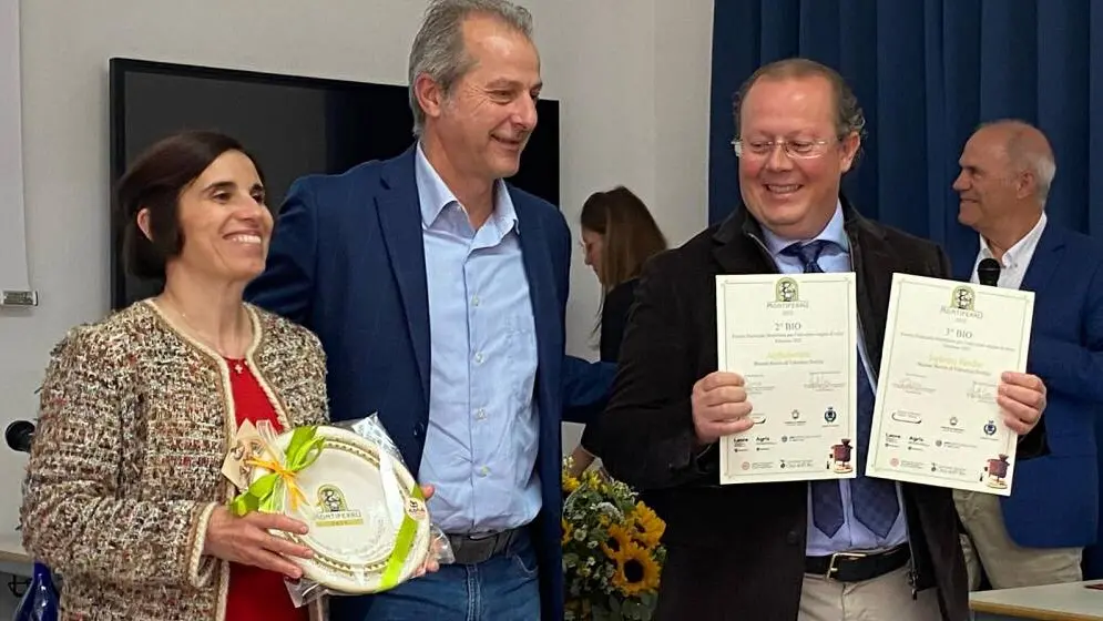 https://immagini.unionesarda.it/version/c:ZDNiOGFlOGQtZjc5OC00:MzU5OGZmZmEtMmRkNC00/image.webp?f=16:9