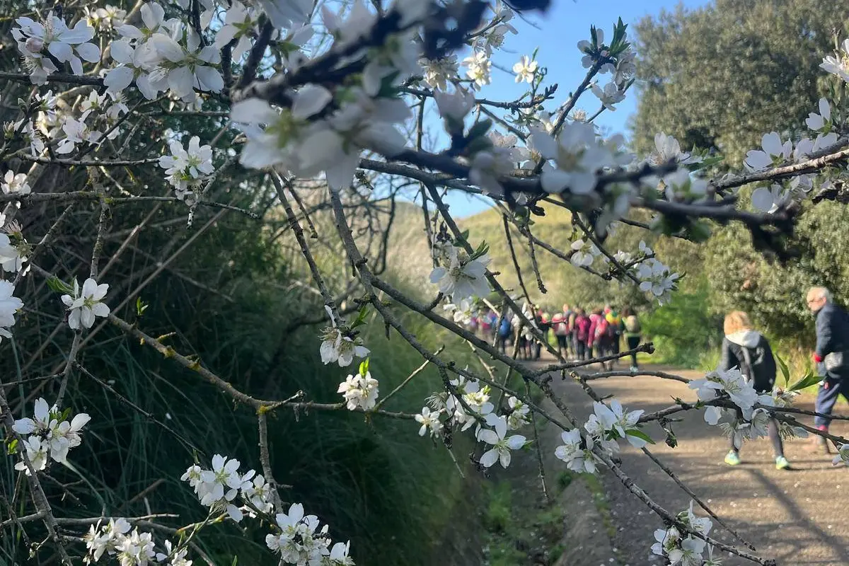 Un'immagine di "Passeg... Giare in Primavera" (foto concessa)