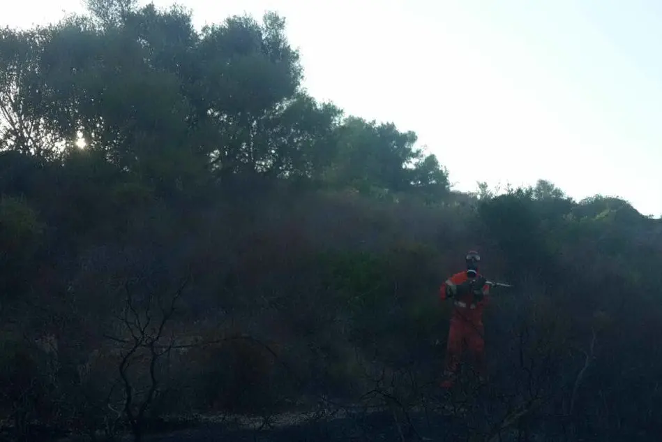 I Nos in azione