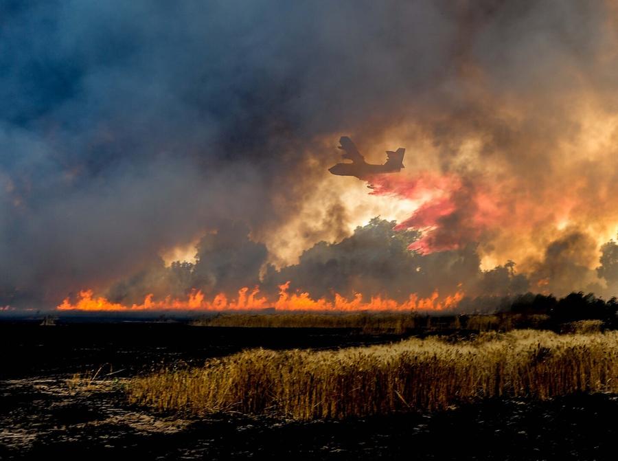 Fiamme e paura tra le aziende agricole, salvate sette persone