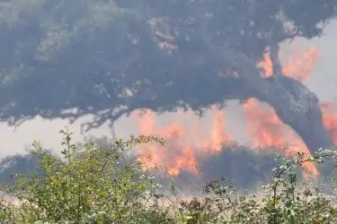 Sardegna: roghi e inneschi