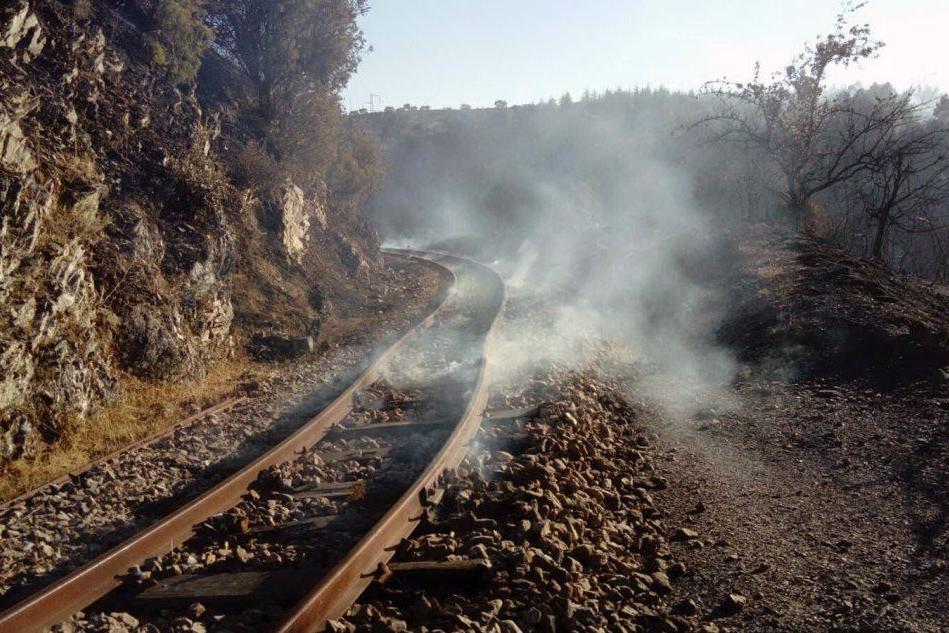 Le fiamme fermano il trenino verde: binari distrutti dal fuoco