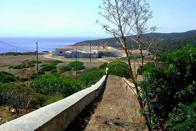 Asinara-carcere Cala d'Oliva (foto Pala)