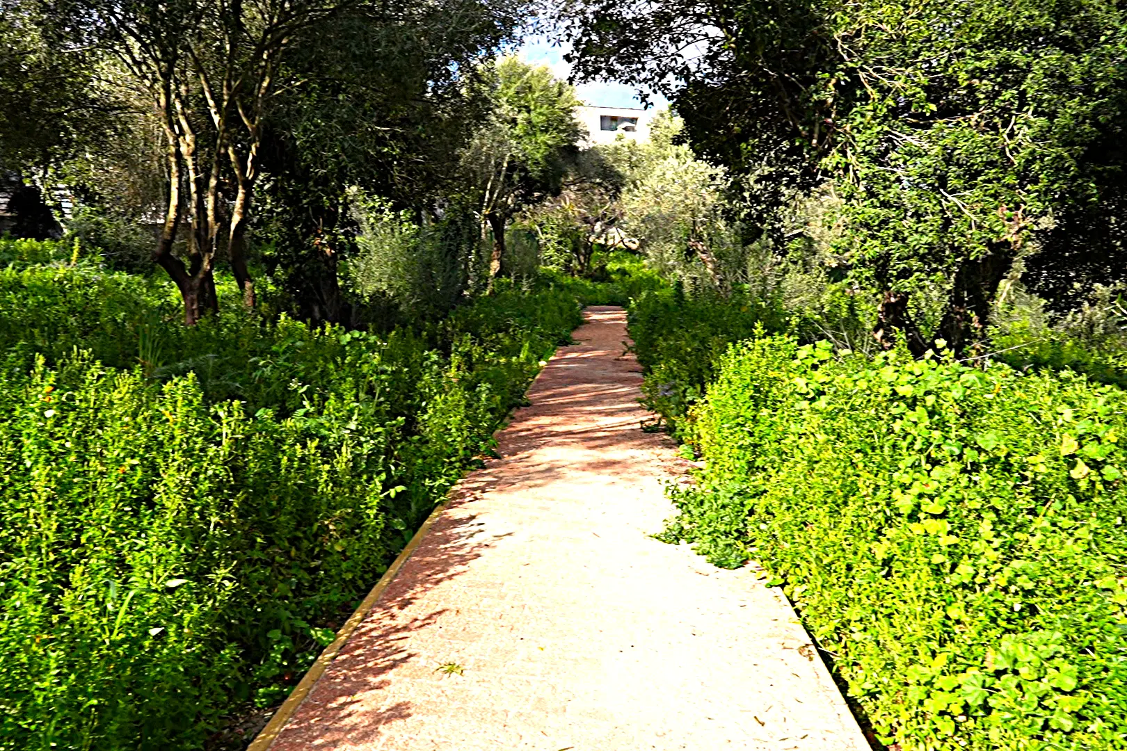 Sassari, un tratto dell'ex colonia campestre (foto Floris)
