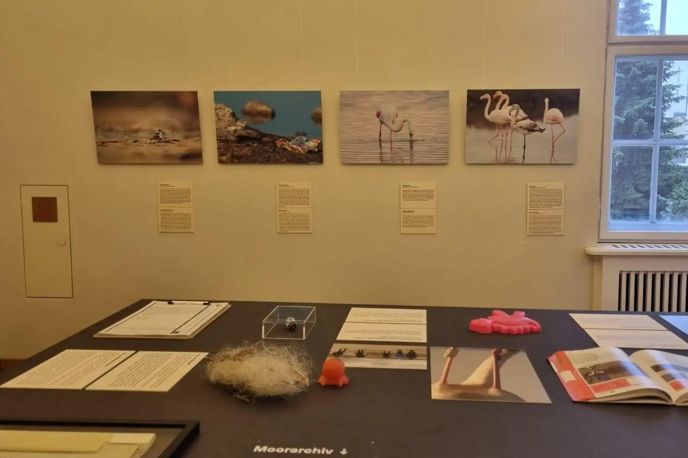La mostra della Lipu di Oristano in Germania