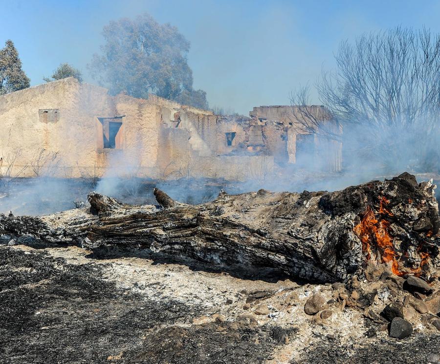 Il fuoco incenerisce un bosco di 20 ettari, paura sulla Provinciale