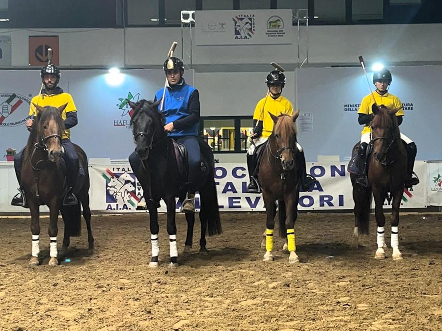 Polo, il cavallo del Sarcidano protagonista alla Fieracavalli di Verona