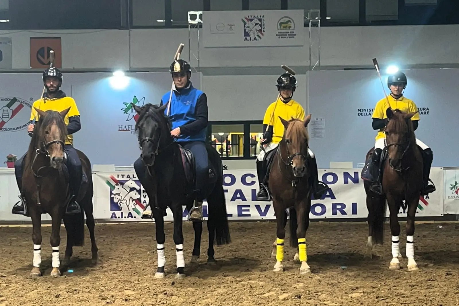 I quattro esemplari del cavallo del Sarcidano alla Fieracavalli di Verona