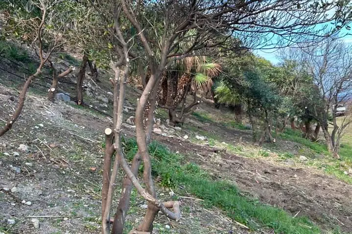 Uno dei siti interessati dagli interventi (foto concessa)