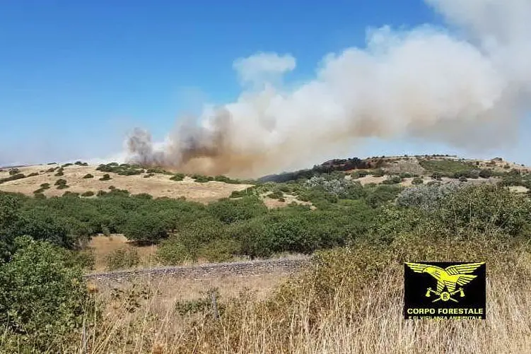 L'incendio a Ploaghe (foto Corpo forestale)