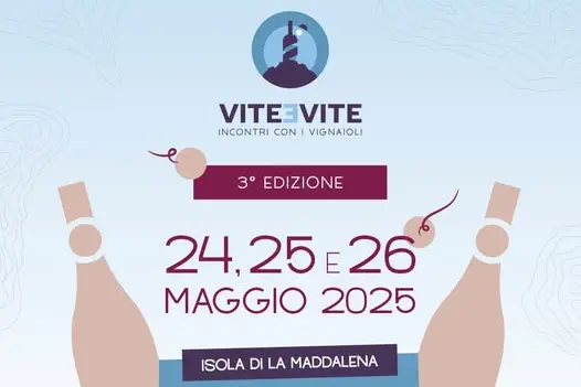 Locandina, terza edizione "Vite e vite"