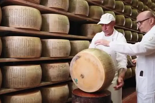 Parmigiano Reggiano, cresce la montagna: oltre il 22% delle forme