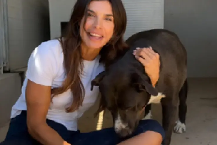 No al cibo ai cani randagi, Elisabetta Canalis difende Nizzi e la sua ordinanza