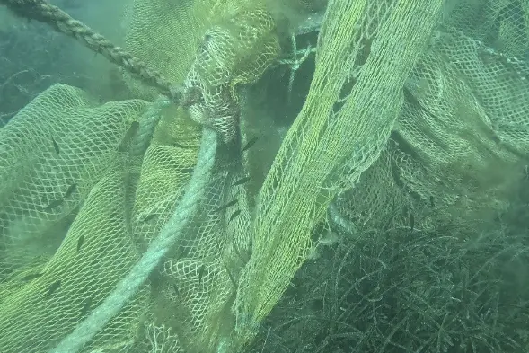 La rete da strascico nei fondali di Porto Torres (foto capitaneria)