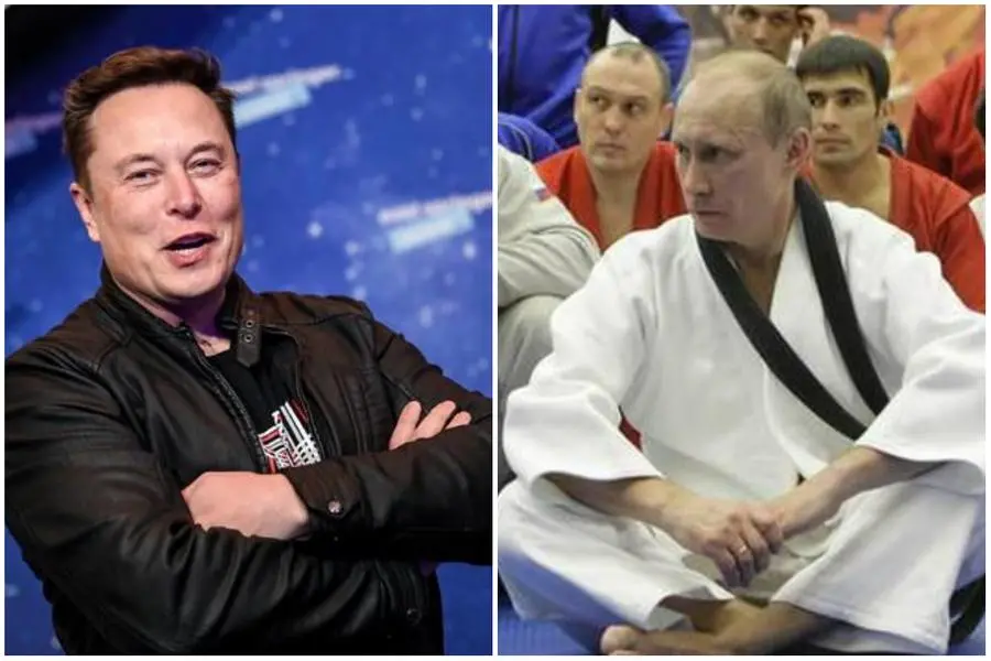 Elon Musk and Vladimir Putin (Ansa)