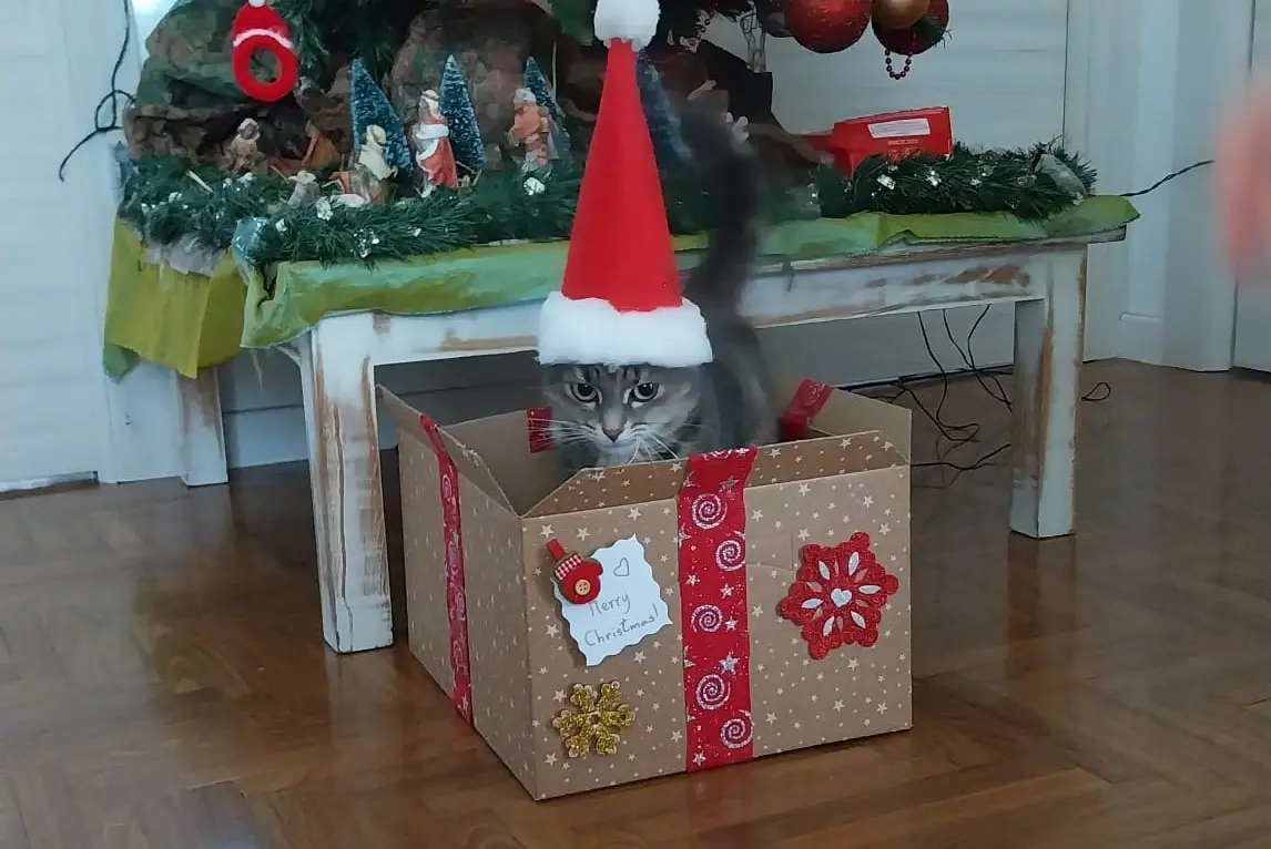 Buon Natale a tutti da parte di Nina