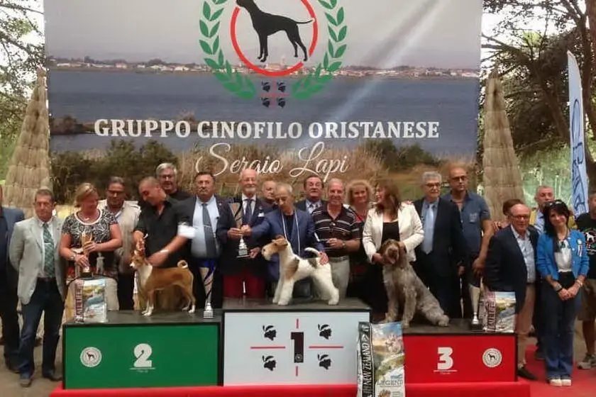 Un'edizione della mostra (foto Pinna)