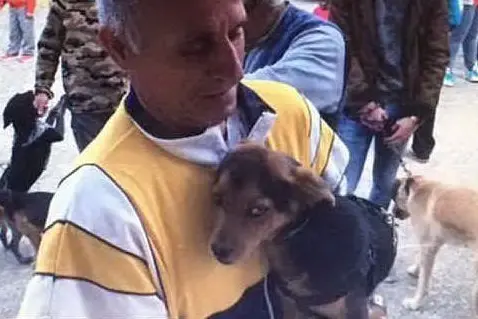 La microchippatura dei cani