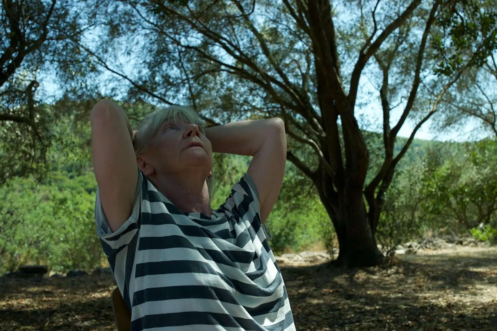 The Last Lesson - frame promozionale (crediti Andrea Mura e Federico Savonitto)