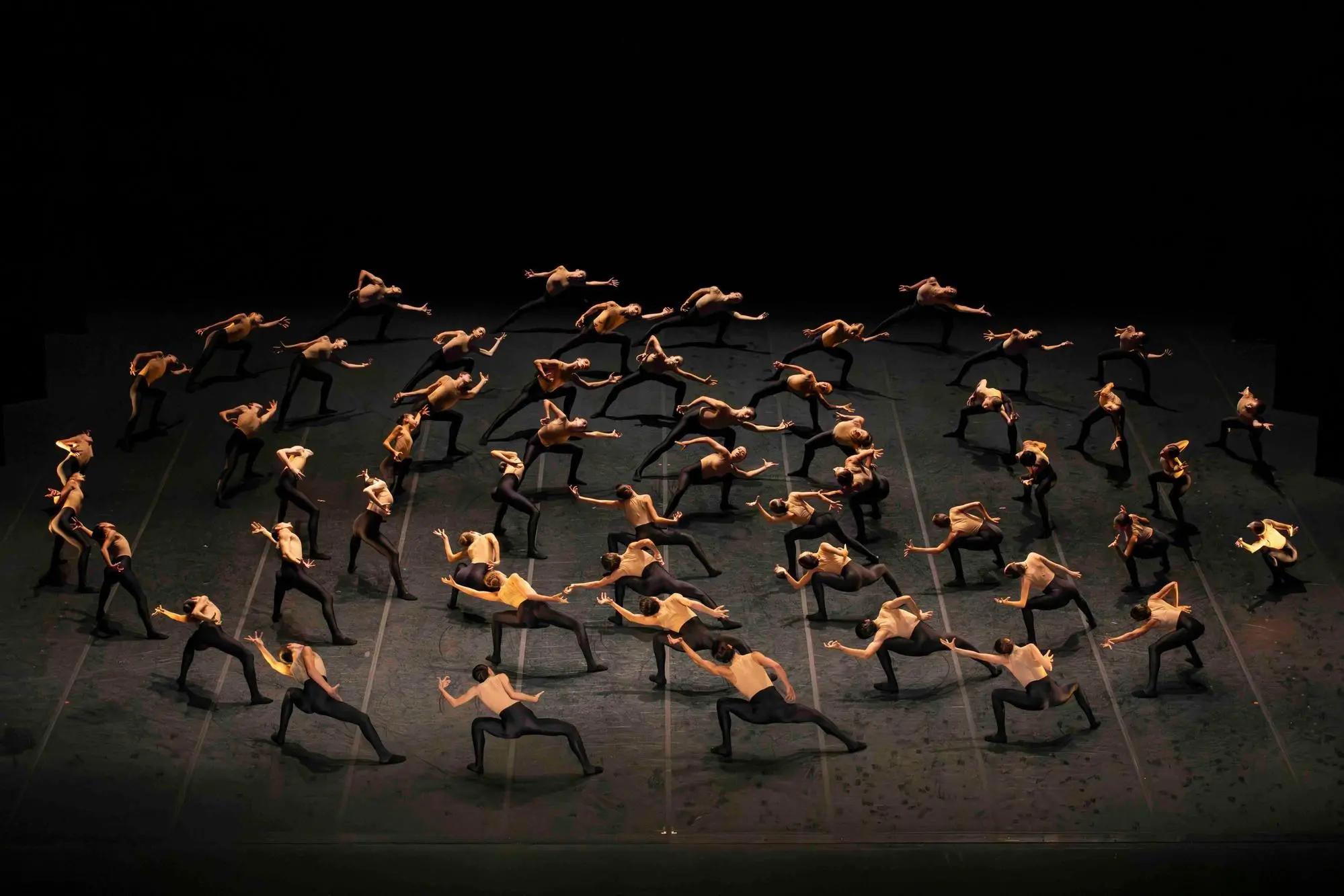 Bolero X (foto concessa Annachiara Di Stefano)