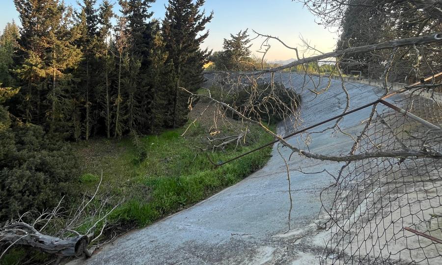 Una giungla nell’ex velodromo