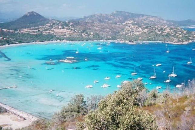 Paraffina nel sud della Corsica&quot;Rischi per le acque sarde&quot;