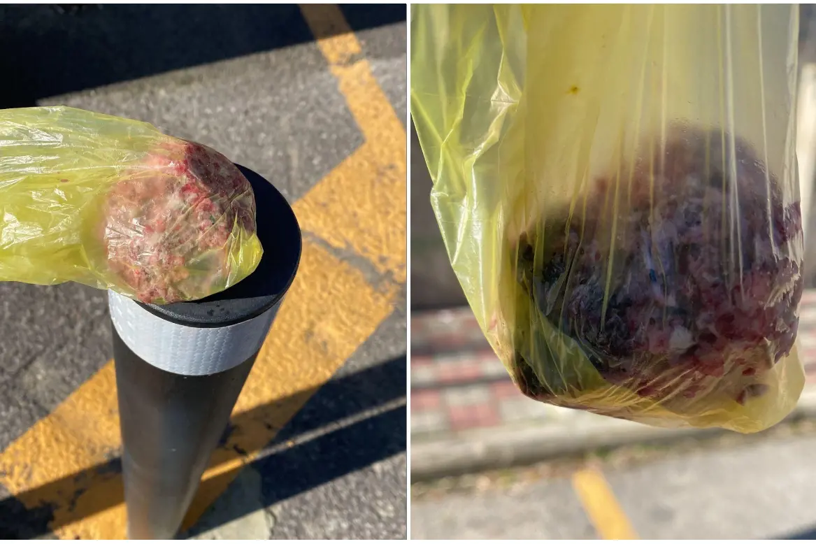 Le polpette avvelenate