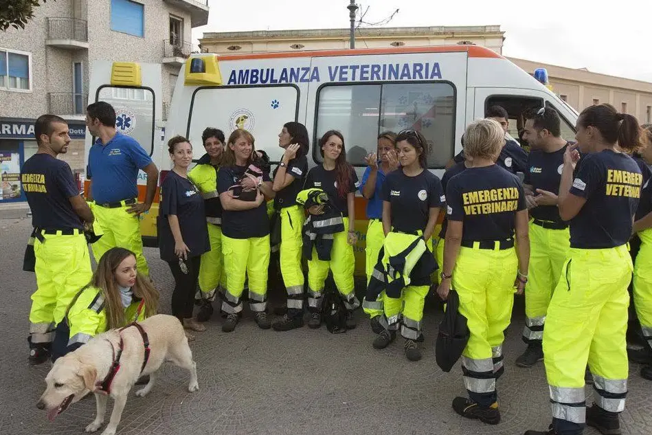 L'ambulanza veterinaria e gli Angeli del soccorso