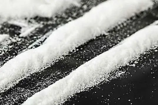 Cocaina (foto da google)