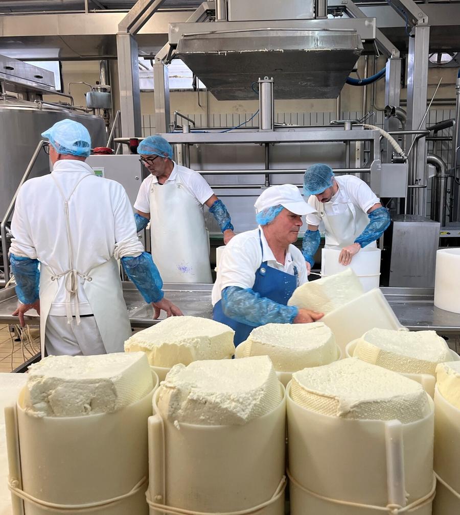 «Effetto dazi, export sardo a -11,4%»