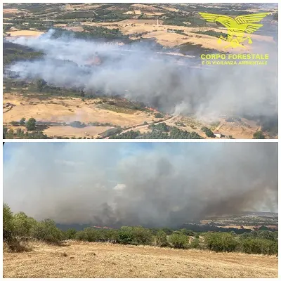 L'incendio a Mandas (foto Corpo forestale)