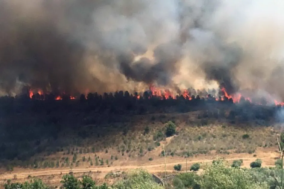 L'incendio tra Las Plassas e Villanovafranca