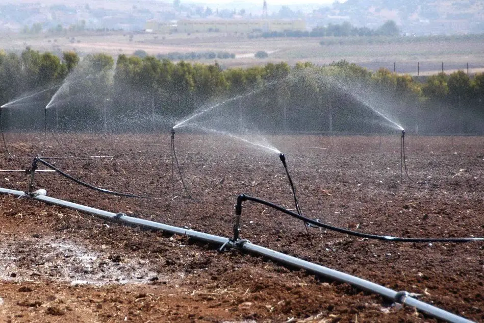 Irrigazione di campi