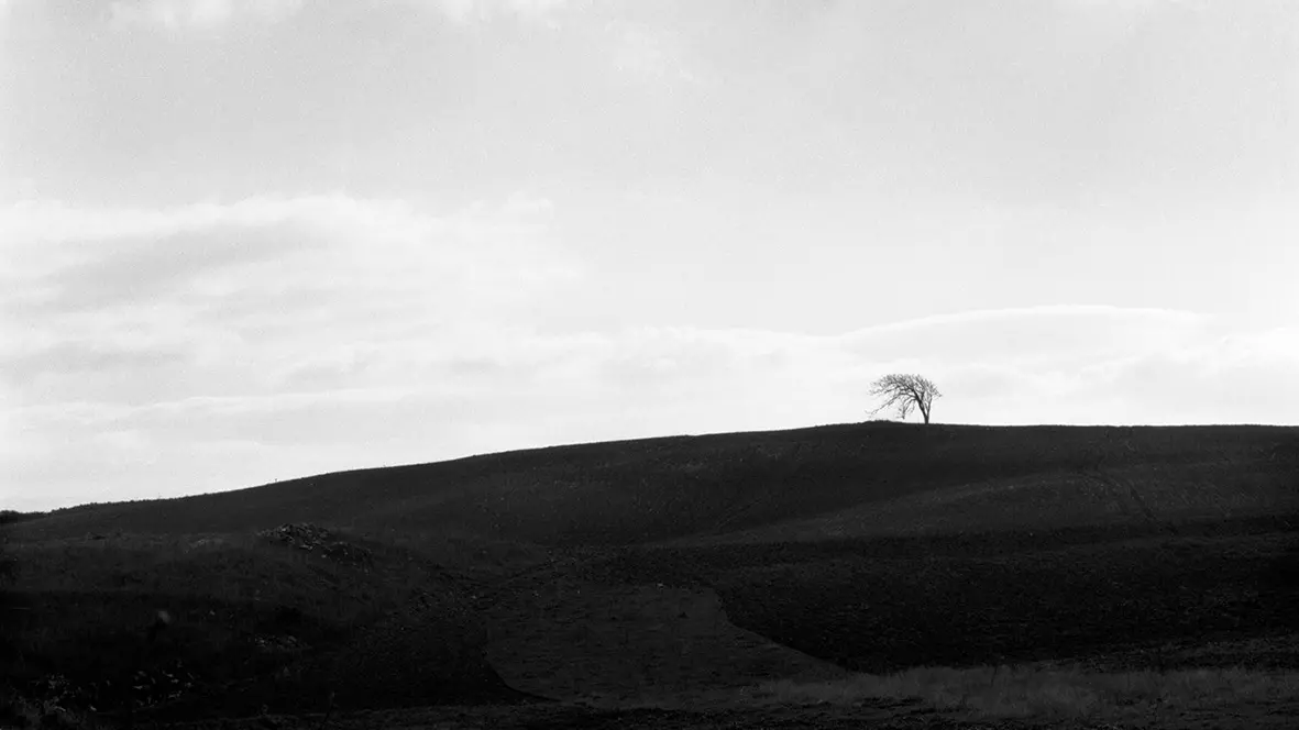 Salvatore Ligios: Landscapes and Visions Exhibition in Arzachena