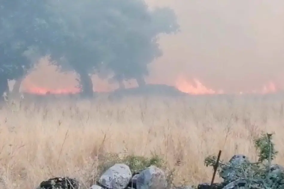 Il fronte dell’incendio (foto L'Unione Sarda - Sanna)
